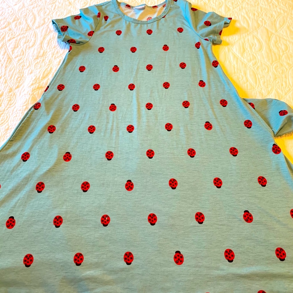 LuLa Roe Jessie Dress w/pockets